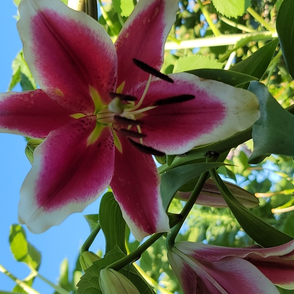 Hi! Check me out! - Picture 9 of 11